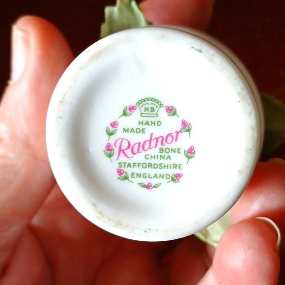 Vintage Radnor Bone China - Picture 4 of 5